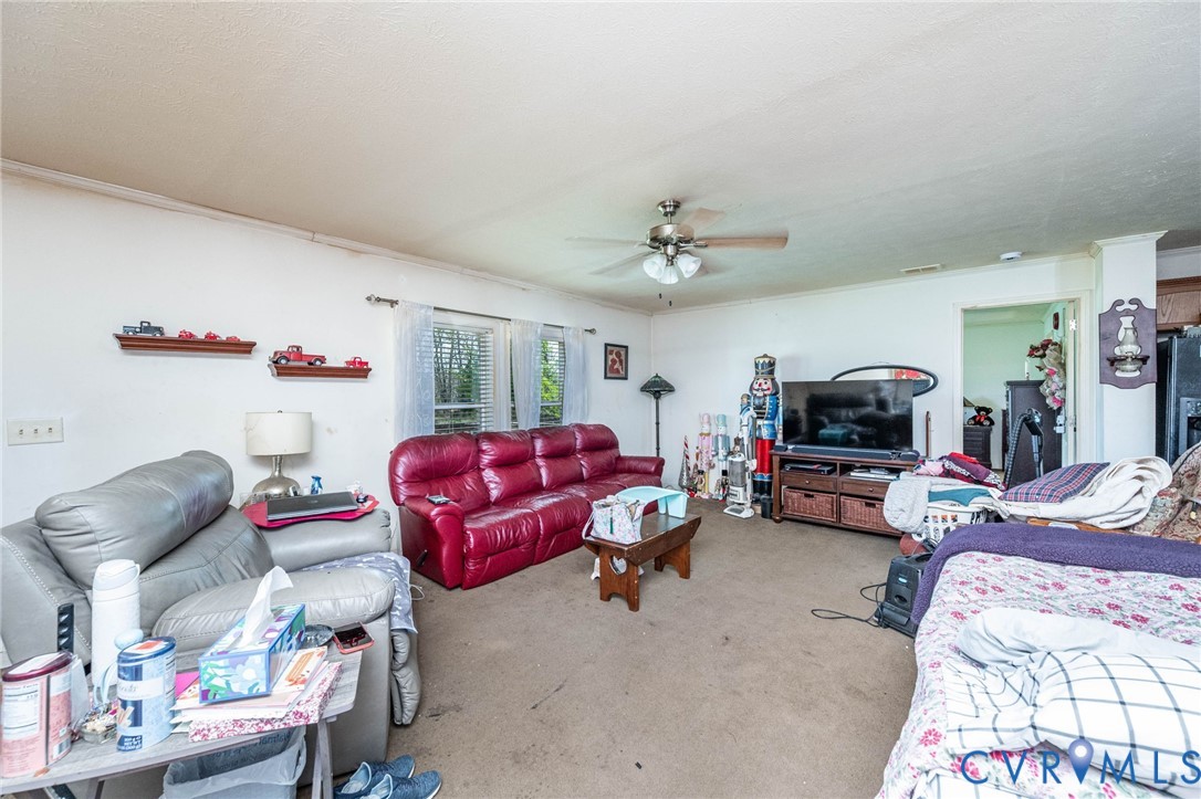 20806 Horseshoe Road Carson, VA 23830 - Photo 4 of 29