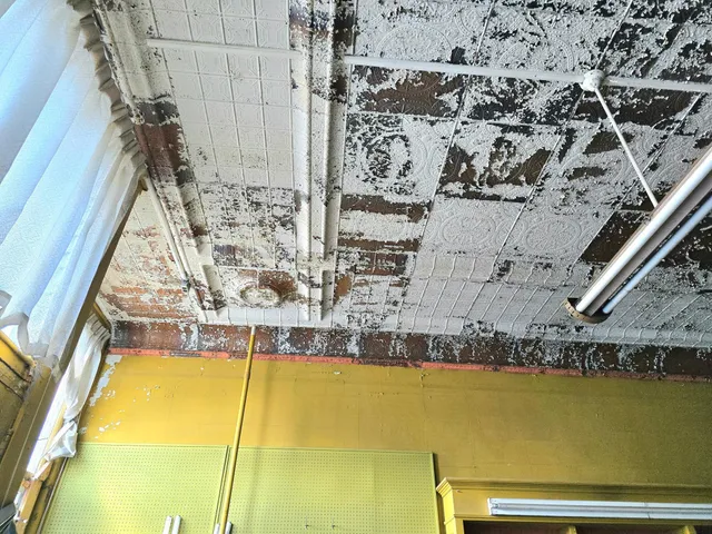 $1 | 102 Main Street North, Canton, MN 55922