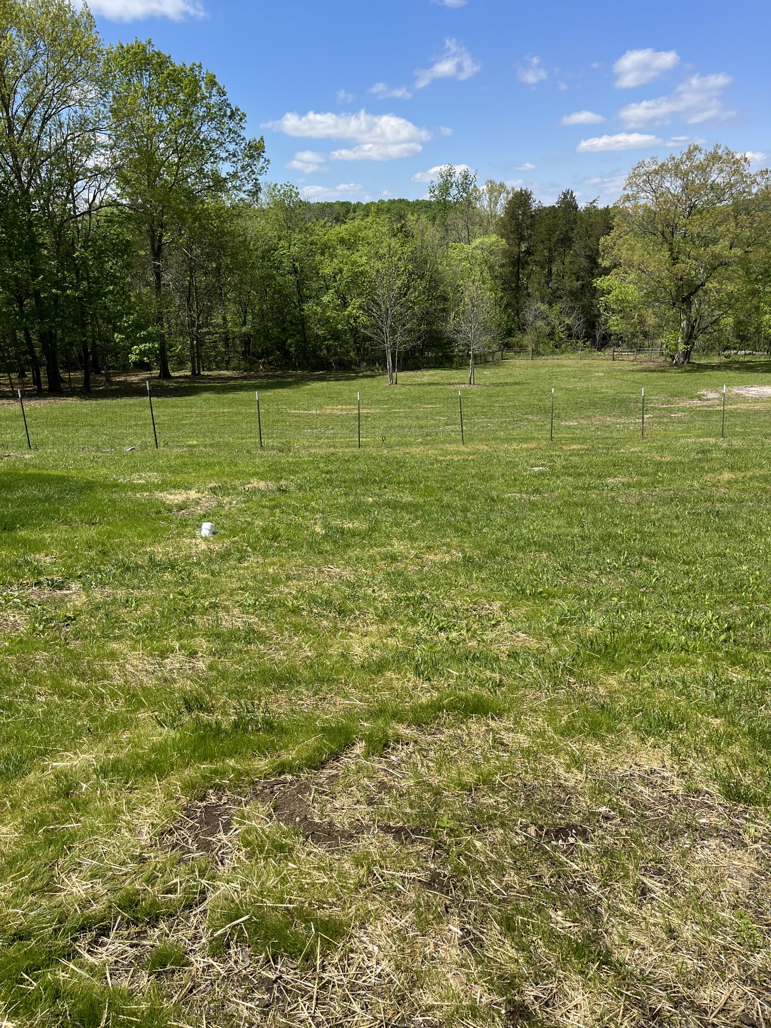 4650 Chicken Road Lebanon, TN 37090 - Photo 5 of 45 a view of a green field with trees in the background