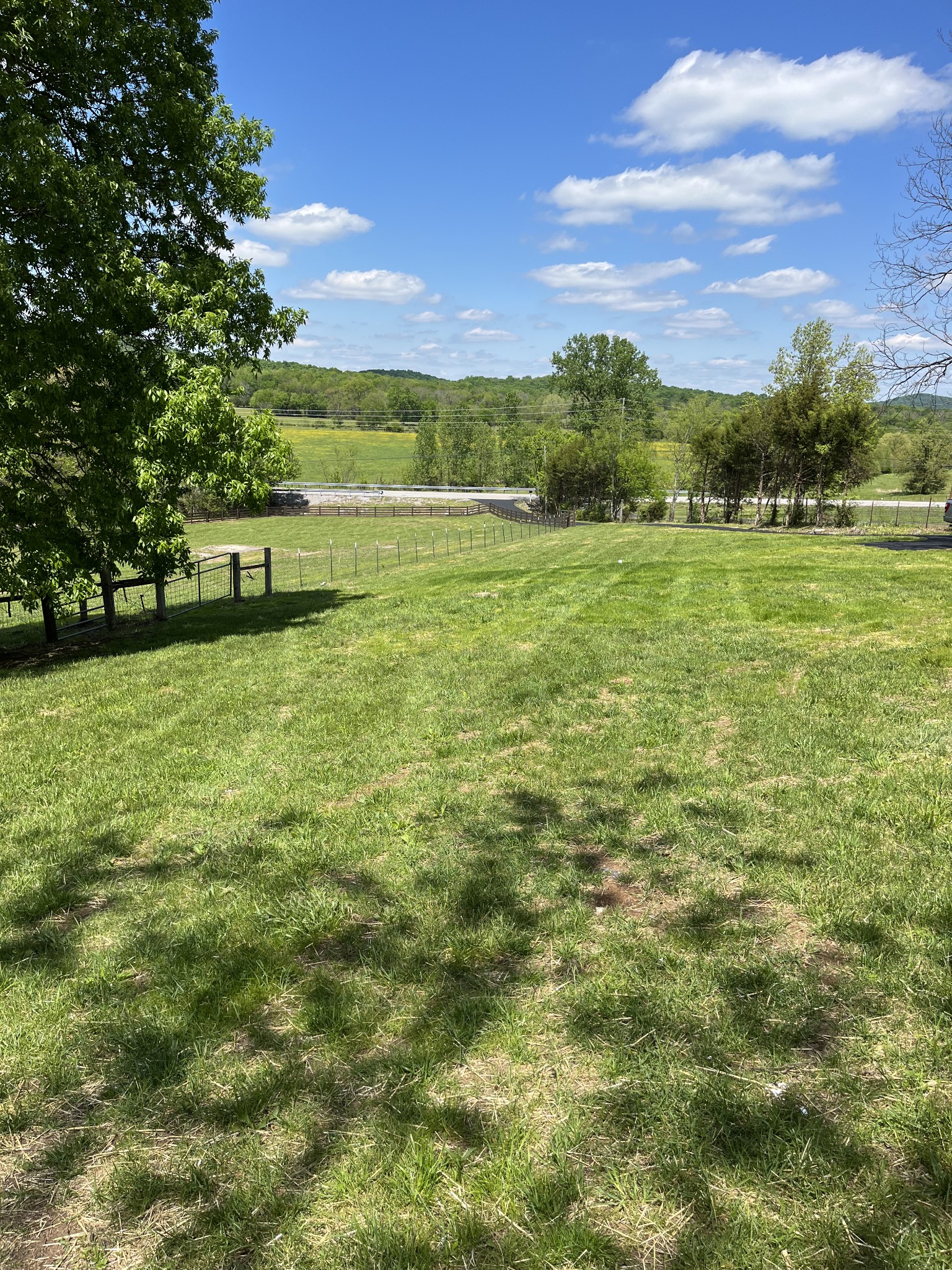 4650 Chicken Road Lebanon, TN 37090 - Photo 6 of 45 a view of a field with an trees