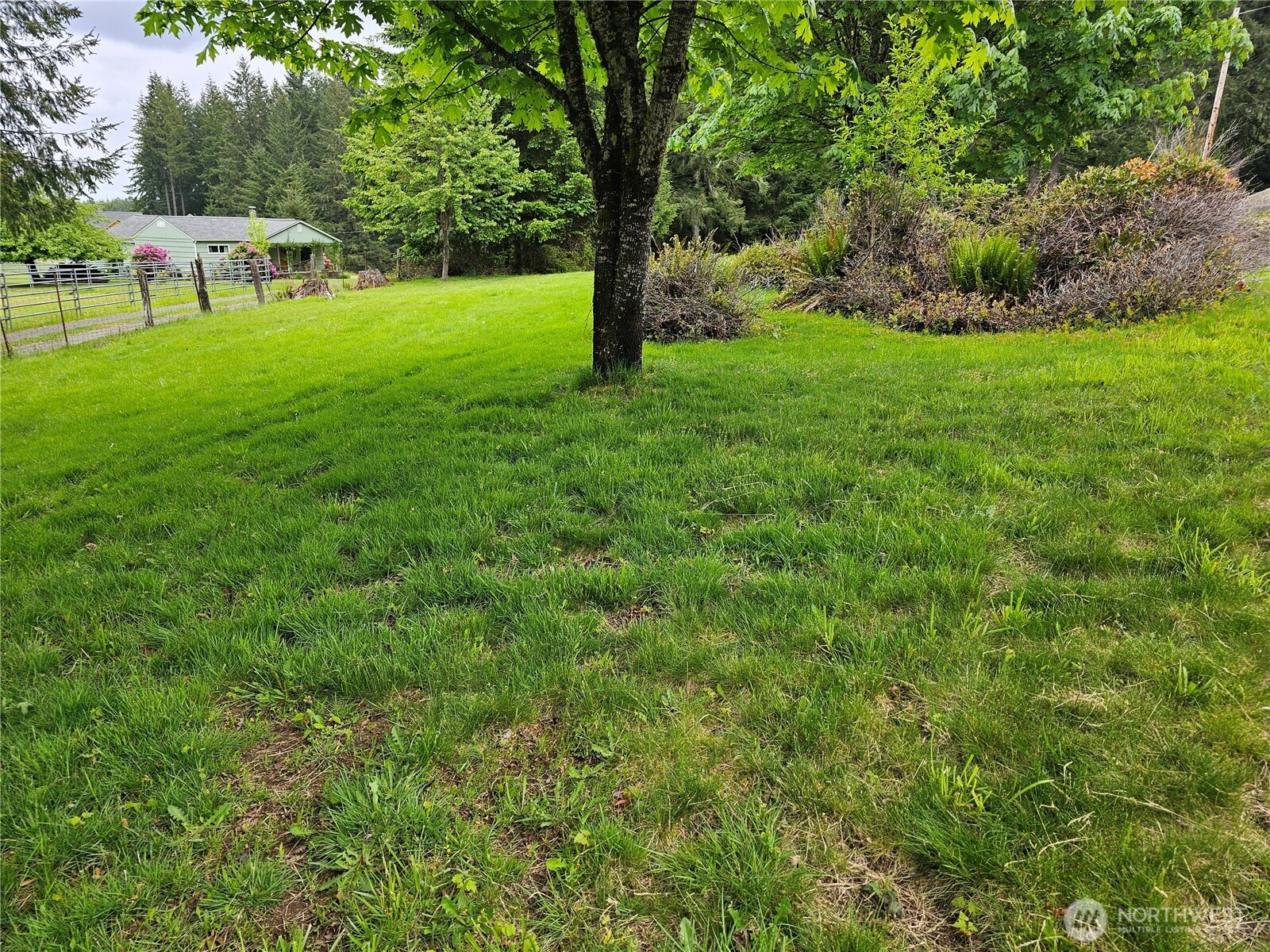 0 South Silver Lake Road Castle Rock, WA 98611 - Photo 3 of 20 Gallery Image 3