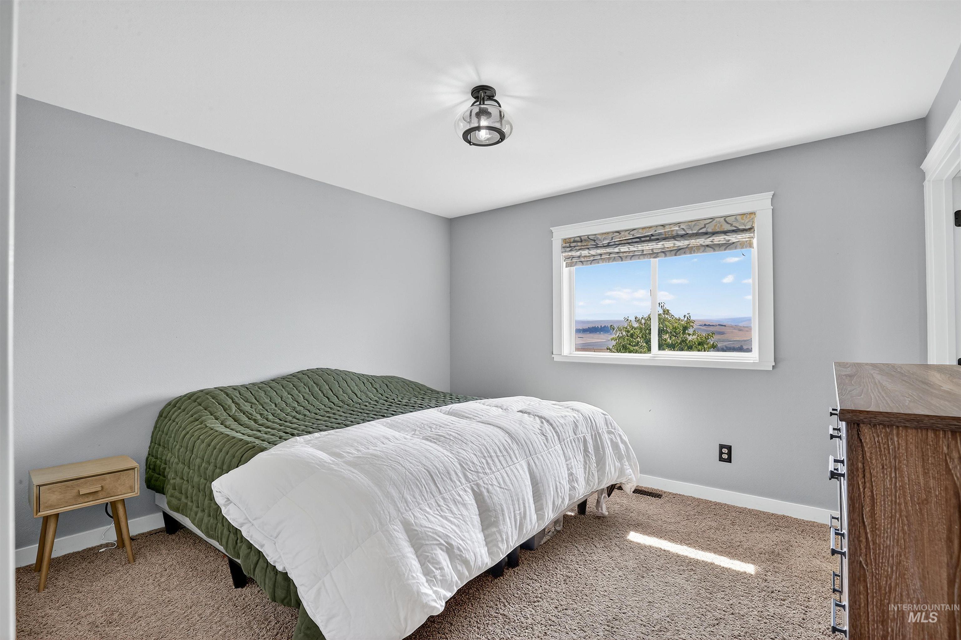 1810 Birch Drive Lewiston, ID 83501 - Photo 15 of 47 Carpeted bedroom featuring baseboards