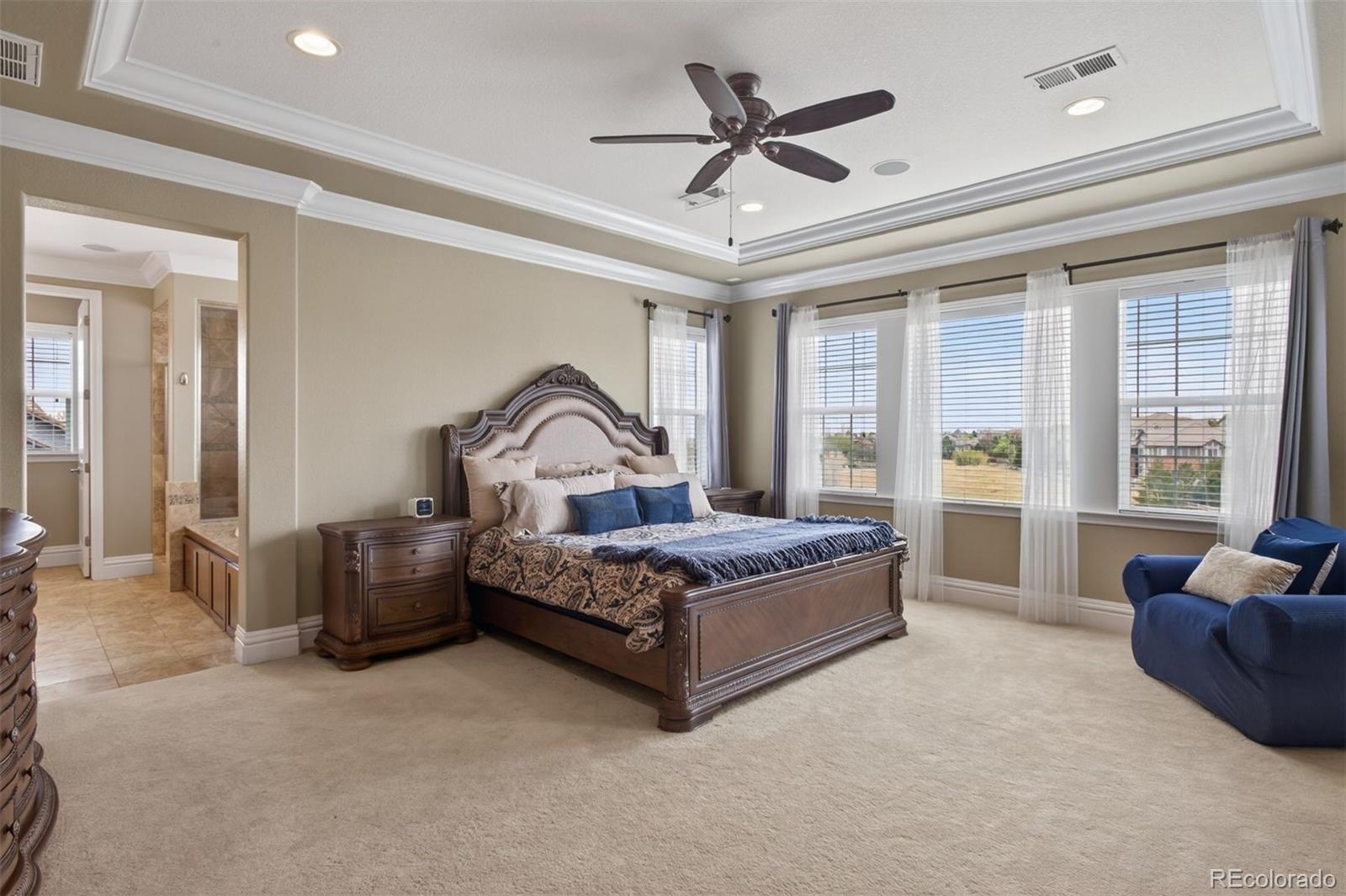 479 Maplehurst Drive Highlands Ranch, CO 80126 - Photo 19 of 40