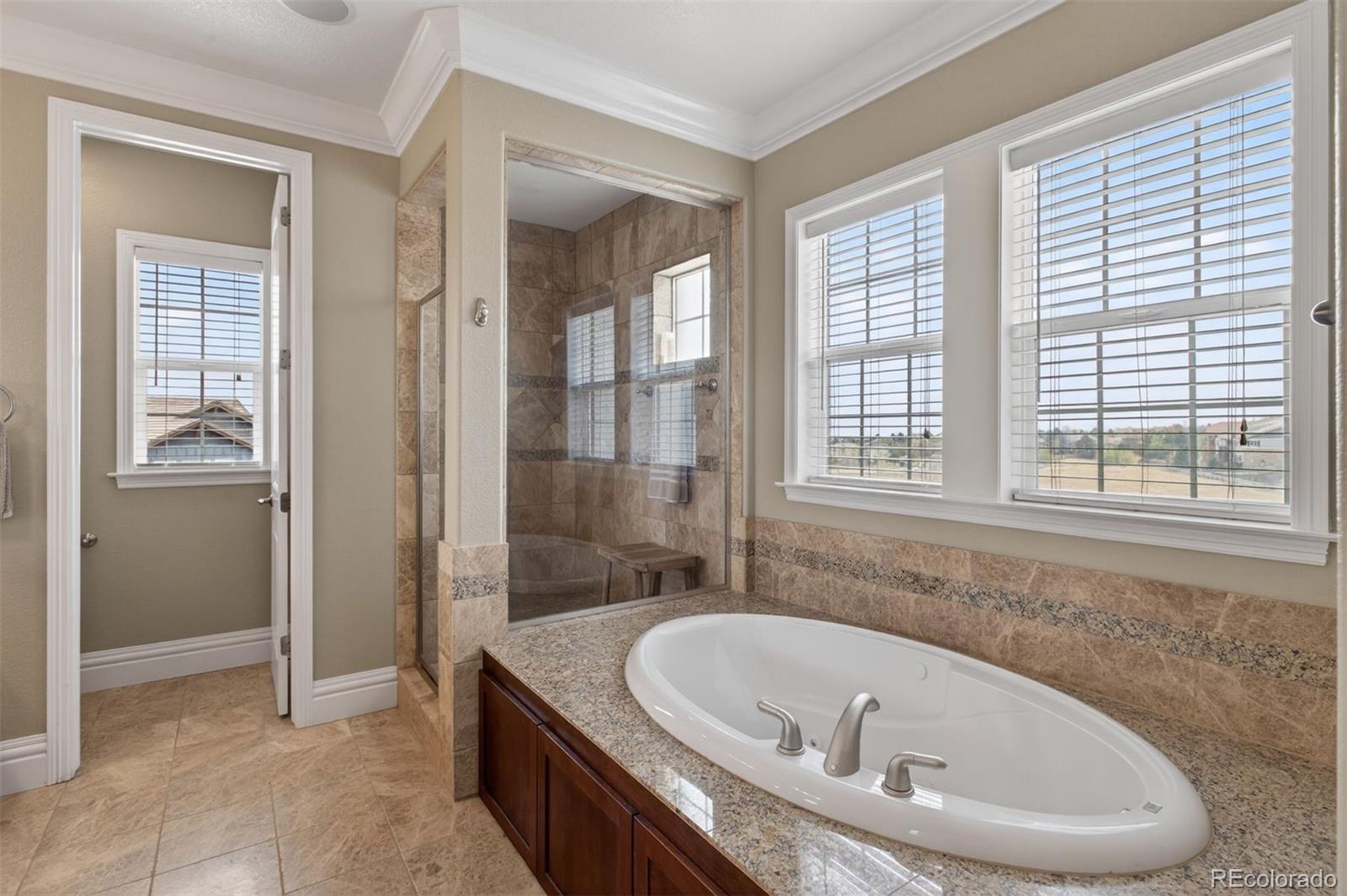 479 Maplehurst Drive Highlands Ranch, CO 80126 - Photo 21 of 40