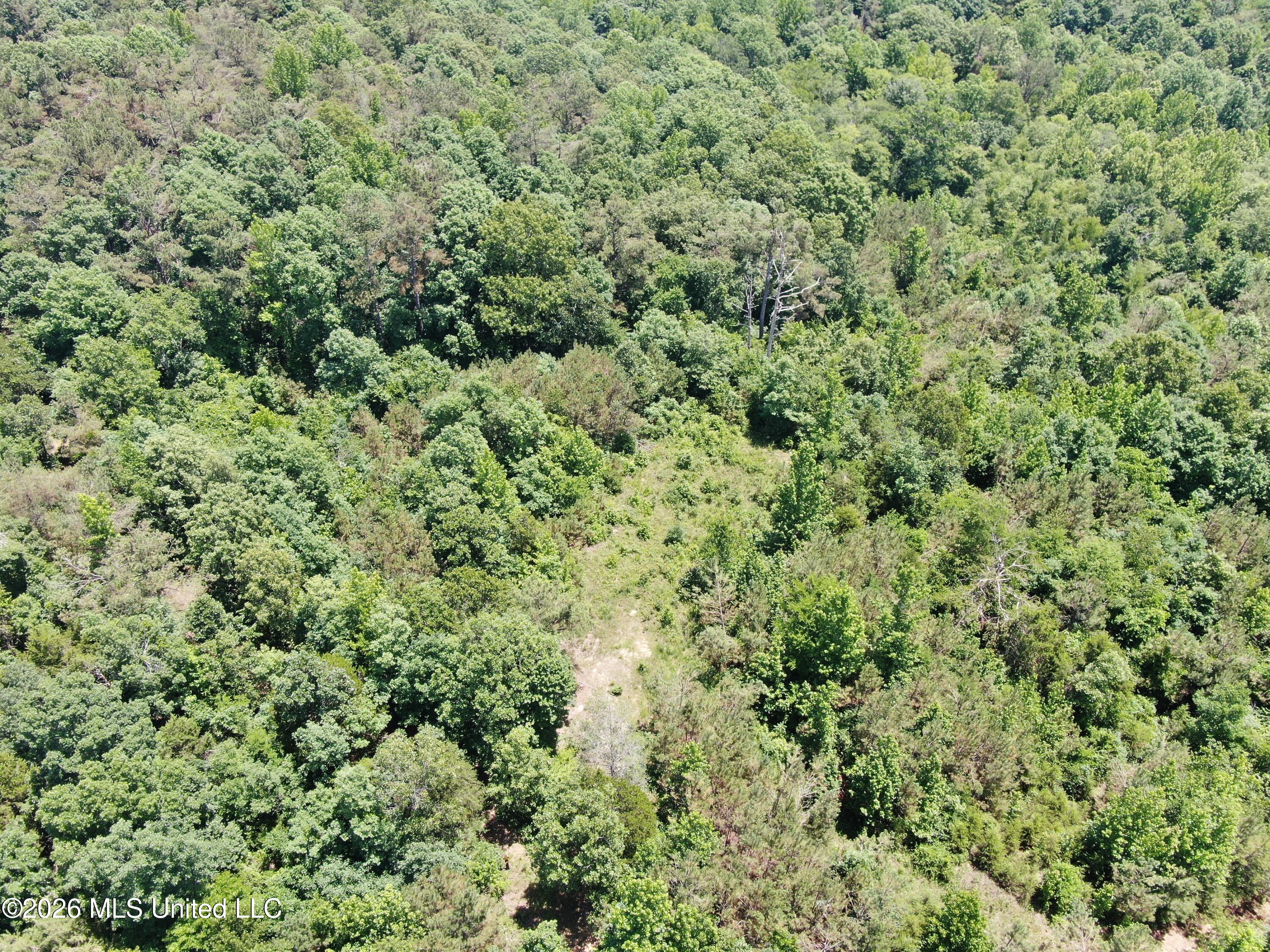 0 Scruggs Road Holly Springs, MS 38635 - Photo 2 of 25 DJI_0029