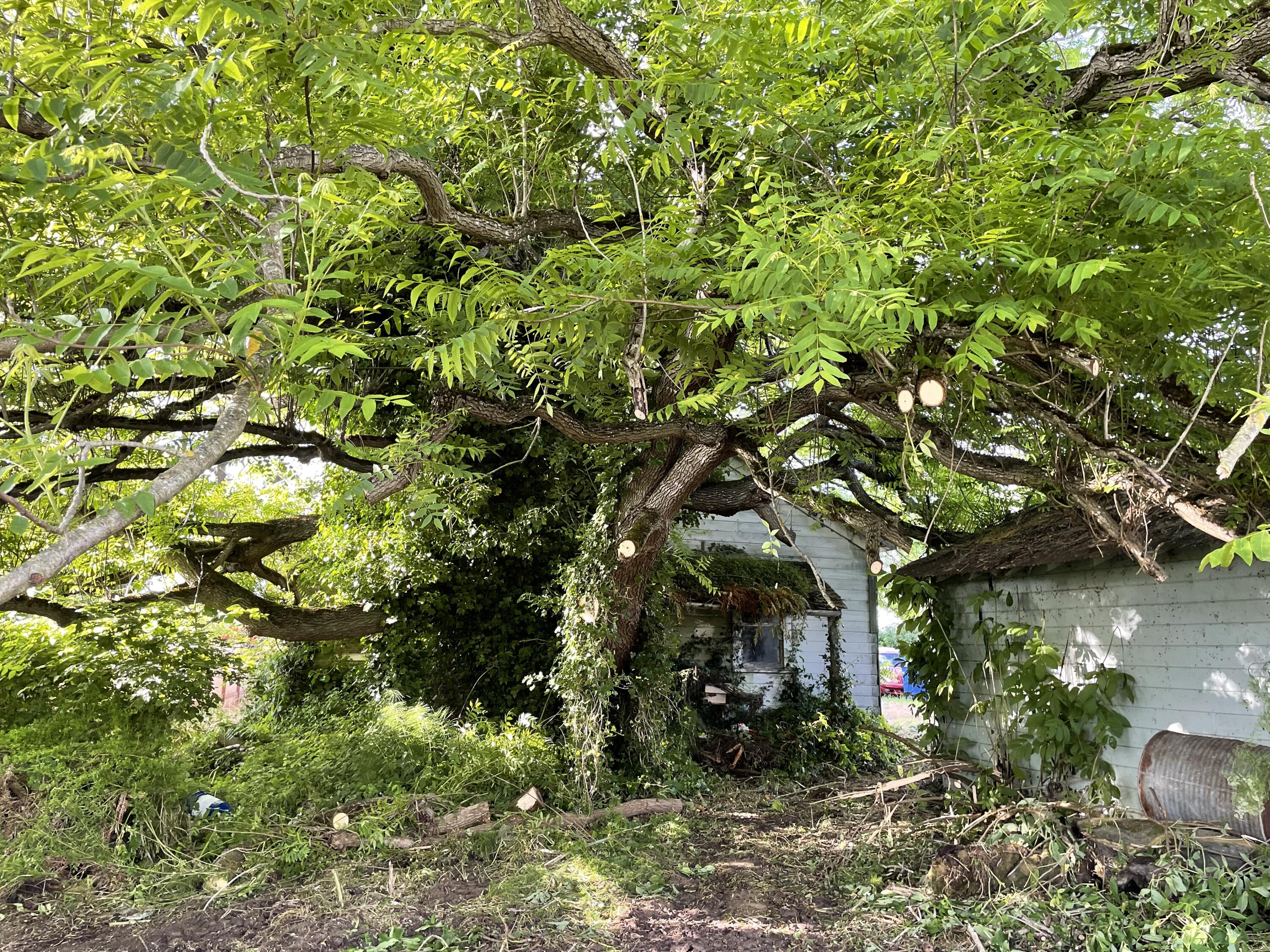 294 Port Kenyon Road Ferndale, CA 95536 - Photo 9 of 10