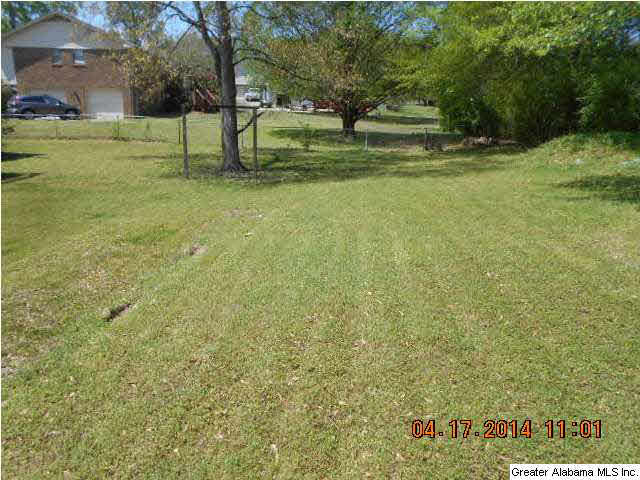 1132 8th Avenue Southwest Alabaster, AL 35007 - Photo 14 of 14