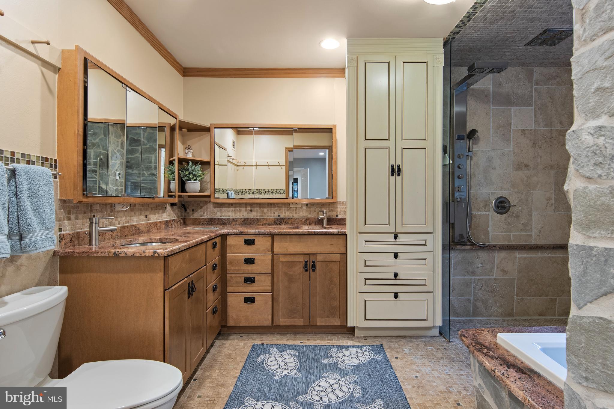 424 Red Coat Lane Wayne, PA 19087 - Photo 45 of 58 Primary bath - dbl custom vanity w/ great storage