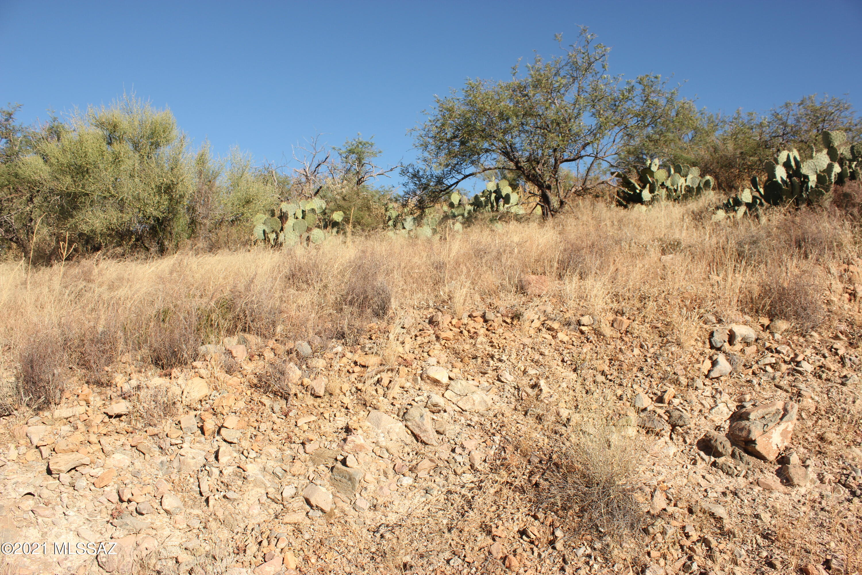 168 Ruta Camaron, Unit 33 Rio Rico, AZ 85648 - Photo 1 of 3