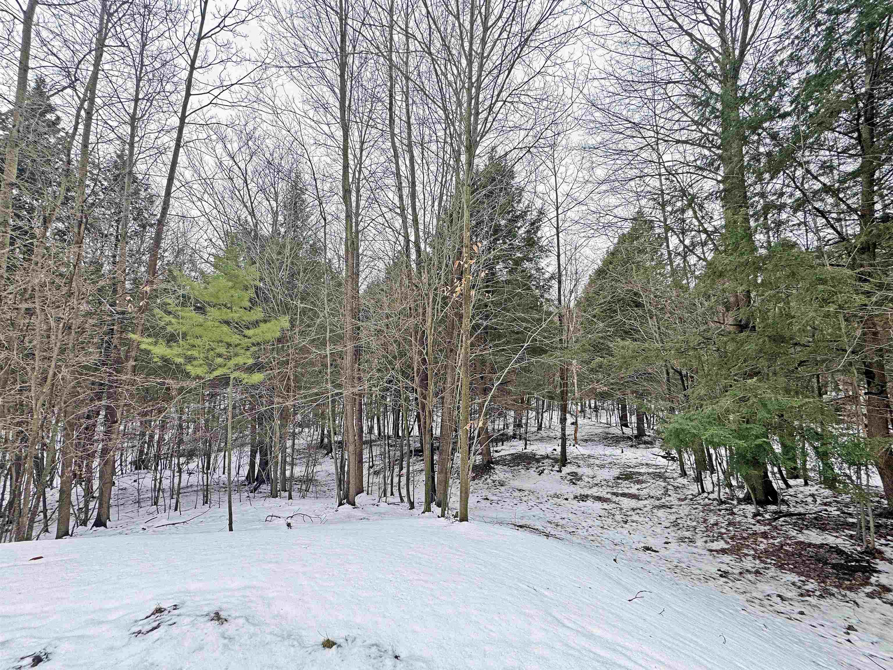 82-107 Moon Ridge Road, Unit LOT: 82,107 Onekama, MI 49675 - Photo 43 of 48