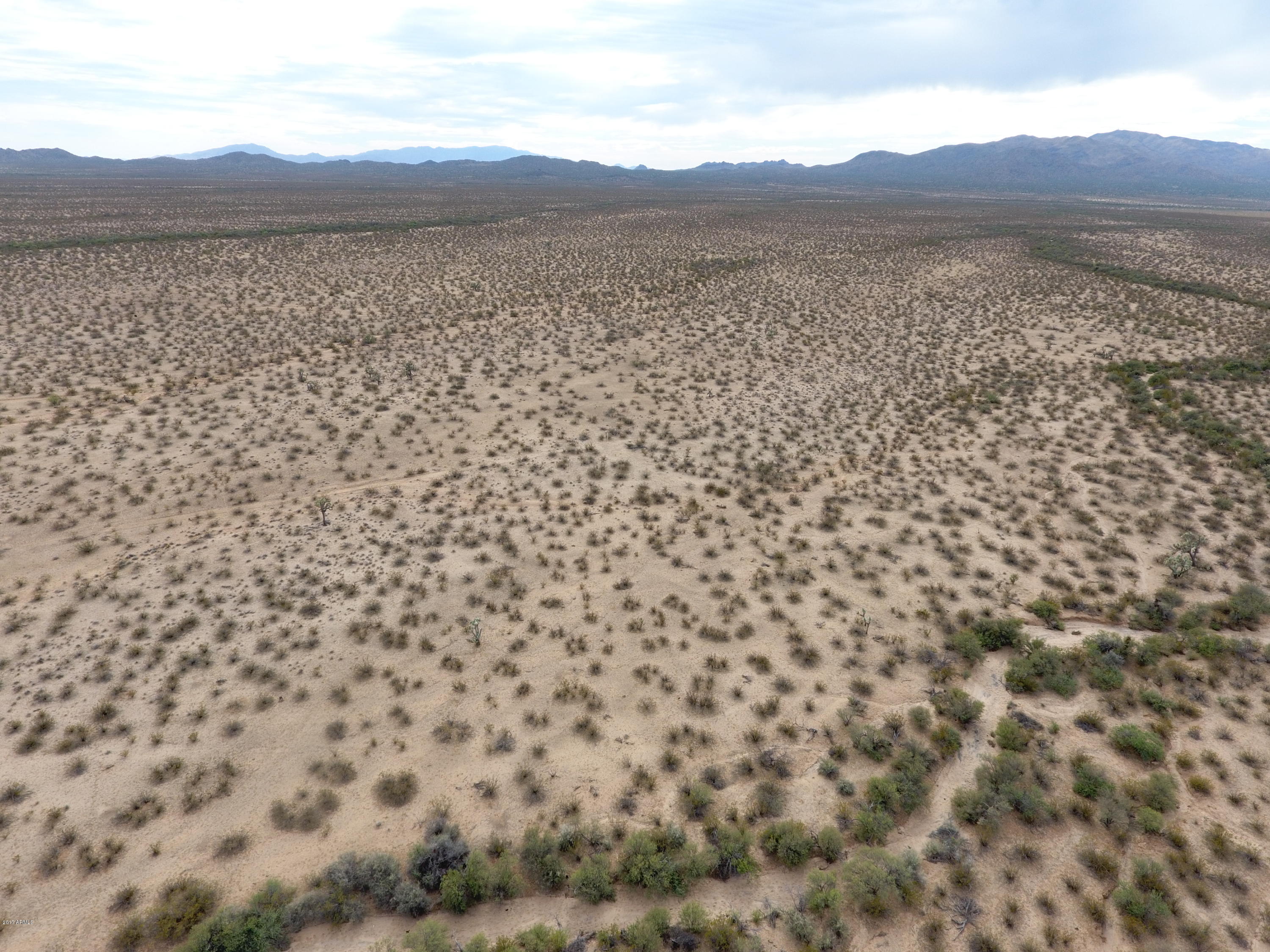 0 Alamo Springs Road Yucca, AZ 86438 - Photo 11 of 12 a view of a dry yard with mountain and trees