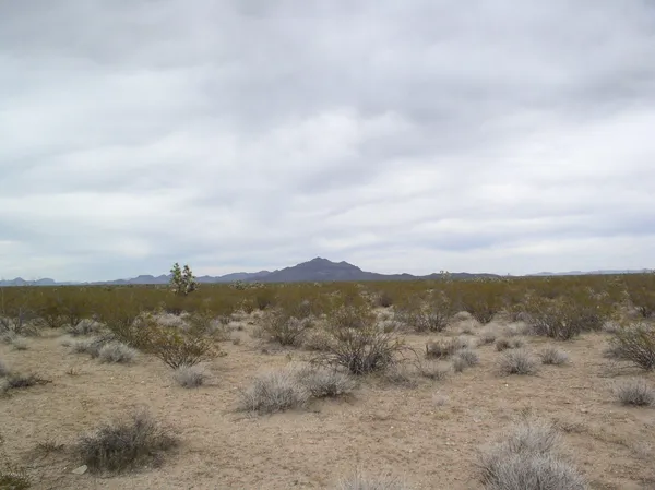 a view of city and mountain
