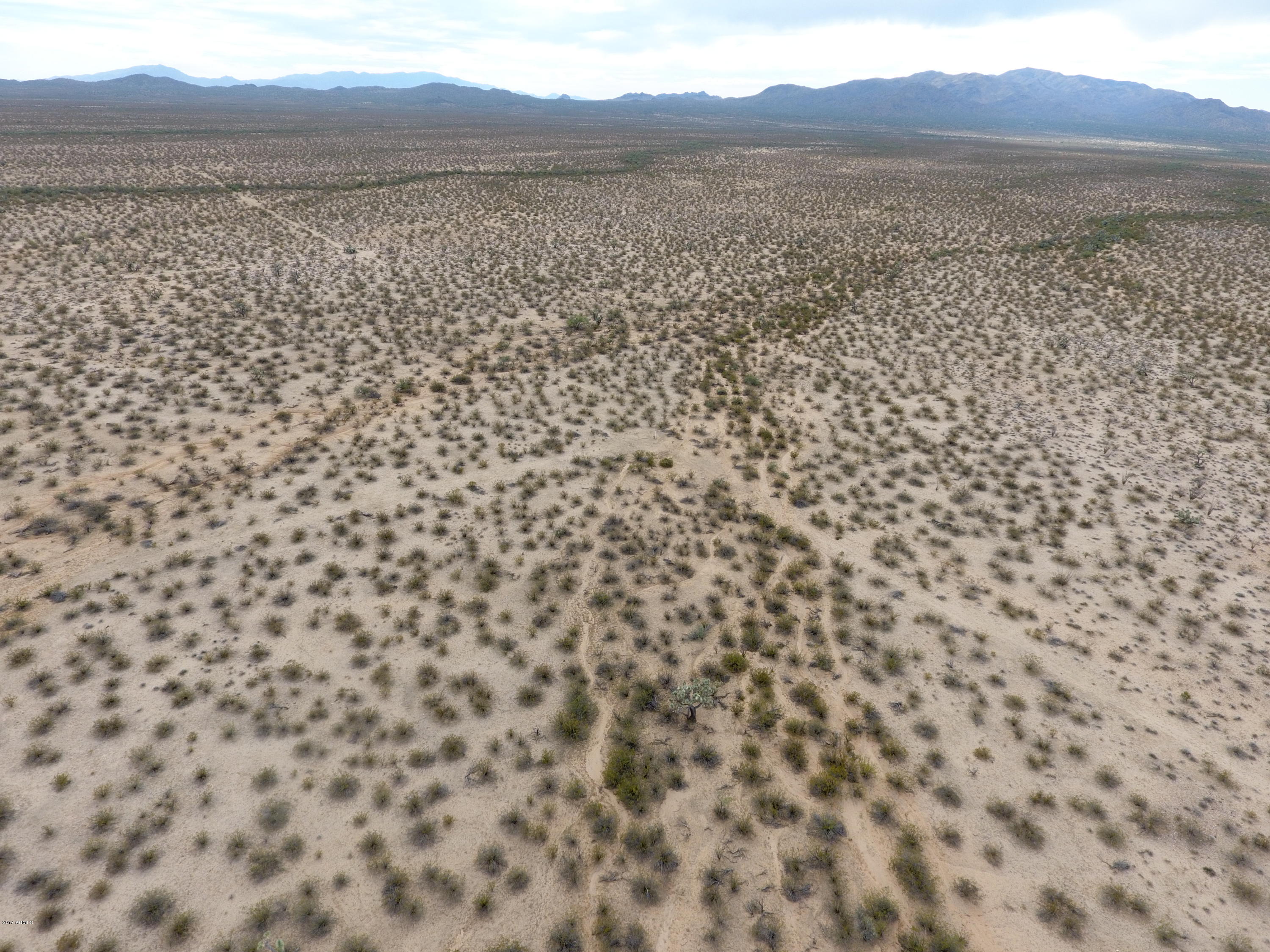 0 Alamo Springs Road Yucca, AZ 86438 - Photo 6 of 12 a view of a garden