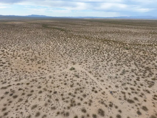 a view of a dry yard with mountain and trees