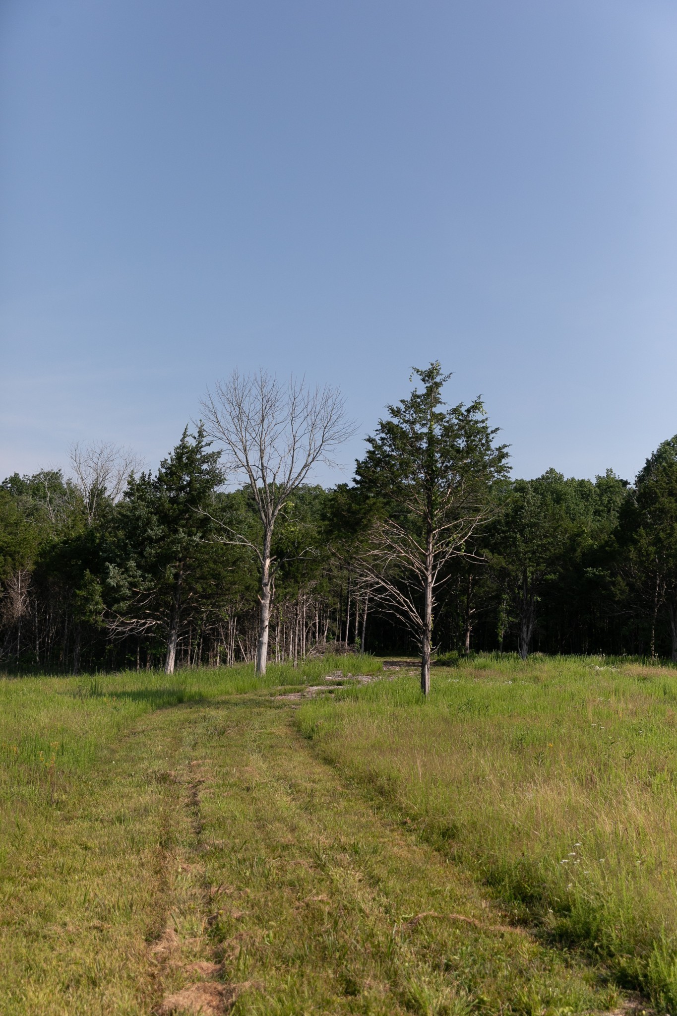 0 Oregon Road Milton, TN 37118 - Photo 15 of 21