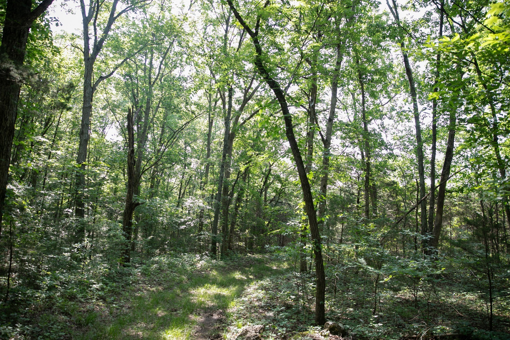 0 Oregon Road Milton, TN 37118 - Photo 20 of 21