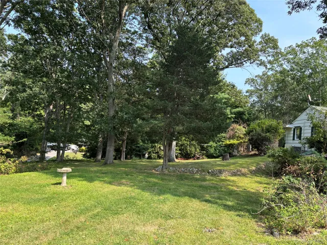 a view of green field