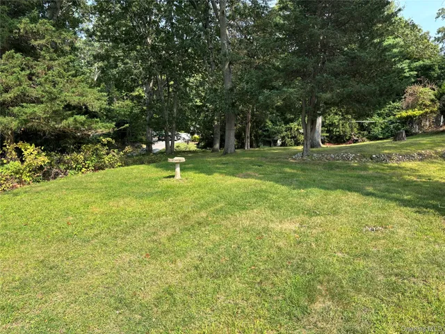 a garden with trees in the background