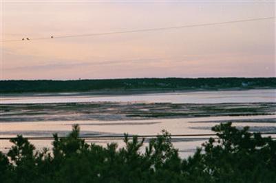 950 Chequessett Neck Road Wellfleet, MA 02667 - Photo 1 of 10 Primary Photo