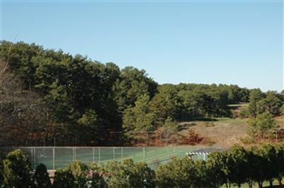 950 Chequessett Neck Road Wellfleet, MA 02667 - Photo 6 of 10 Additional Photo