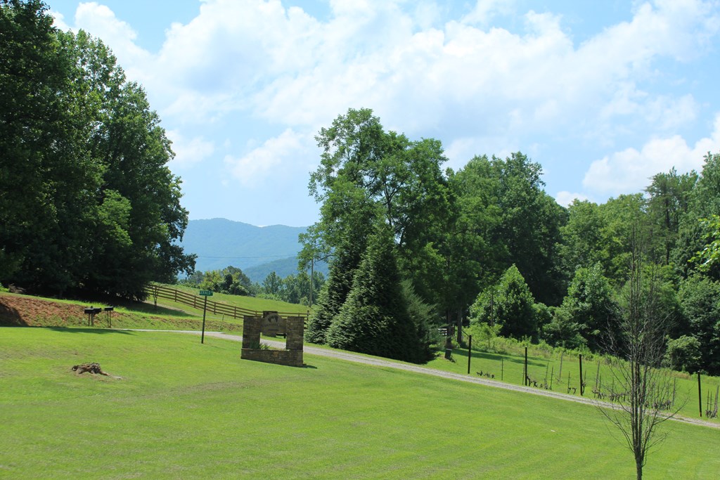 973 East Vineyard Road Hayesville, NC 28904 - Photo 5 of 25