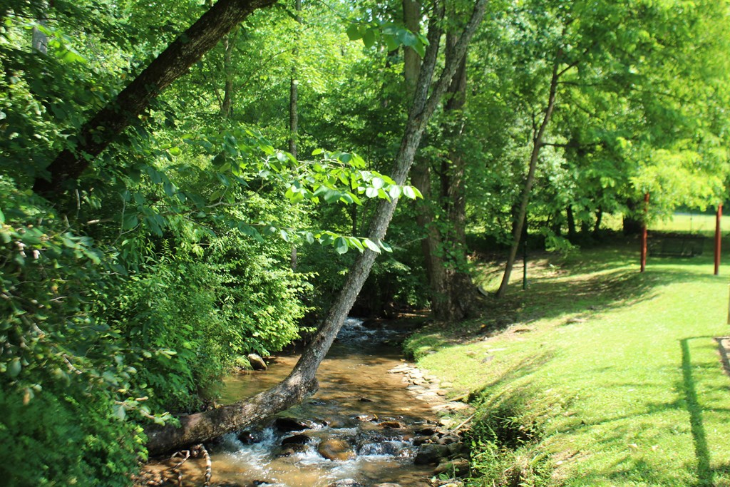 973 East Vineyard Road Hayesville, NC 28904 - Photo 7 of 25