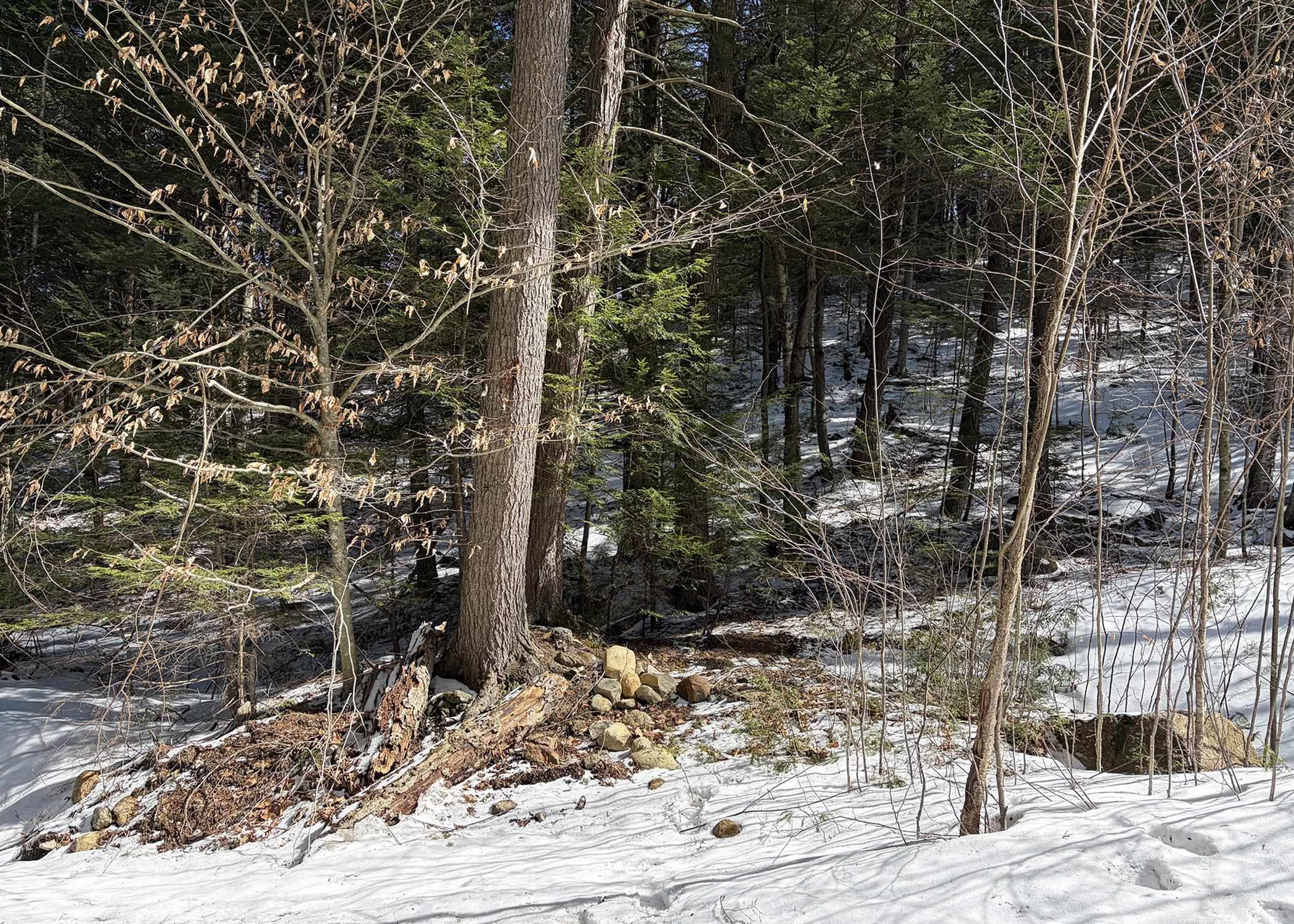 0 Hodgdon Road Alexandria, NH 03222 - Photo 7 of 12