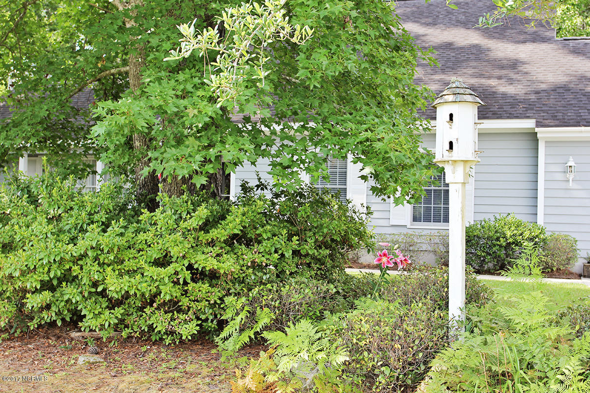 104 Olga Road Beaufort, NC 28516 - Photo 31 of 40 Mature landscaping
