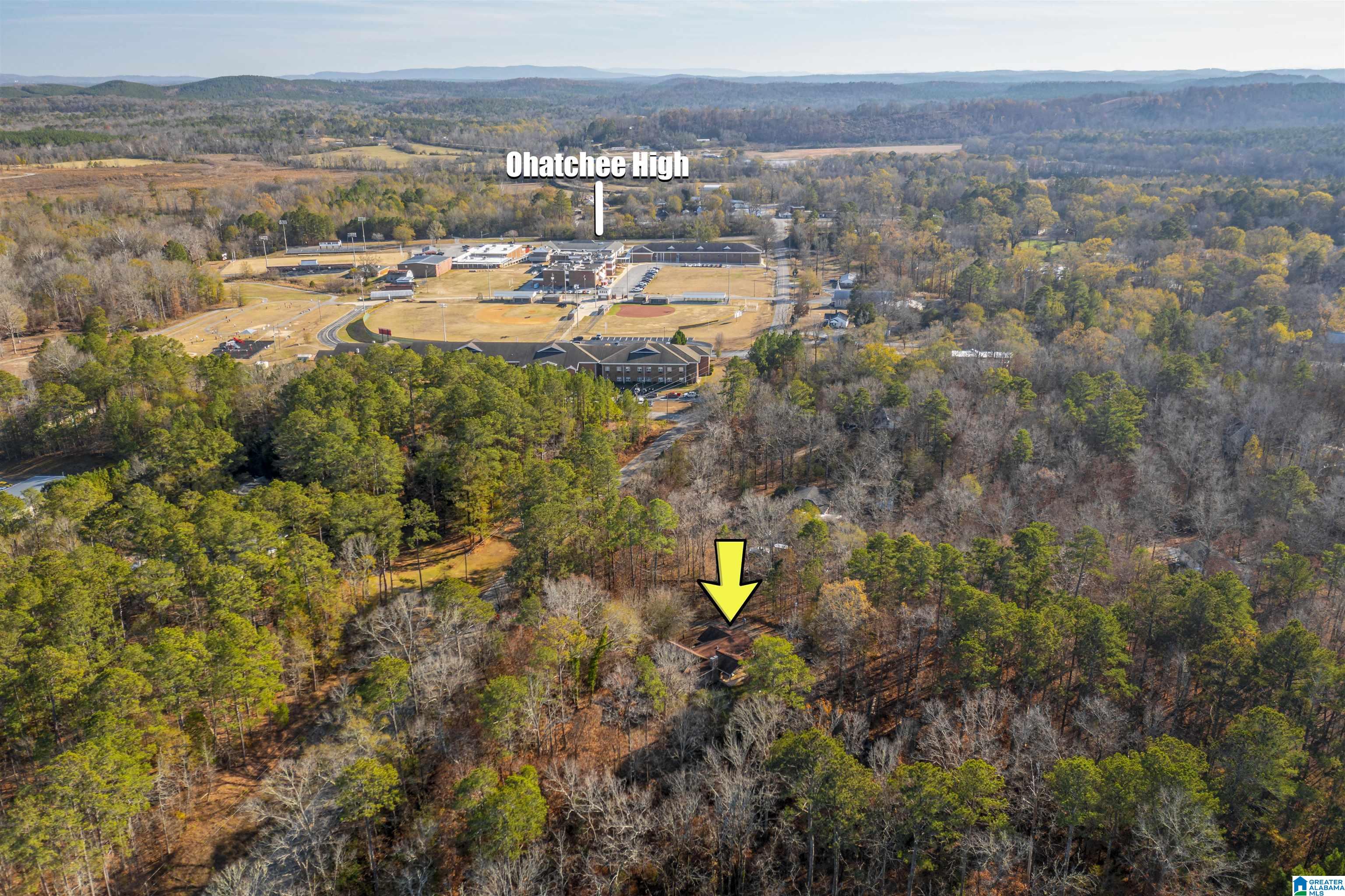 389 Cherokee Trail Ohatchee, AL 36271 - Photo 4 of 23