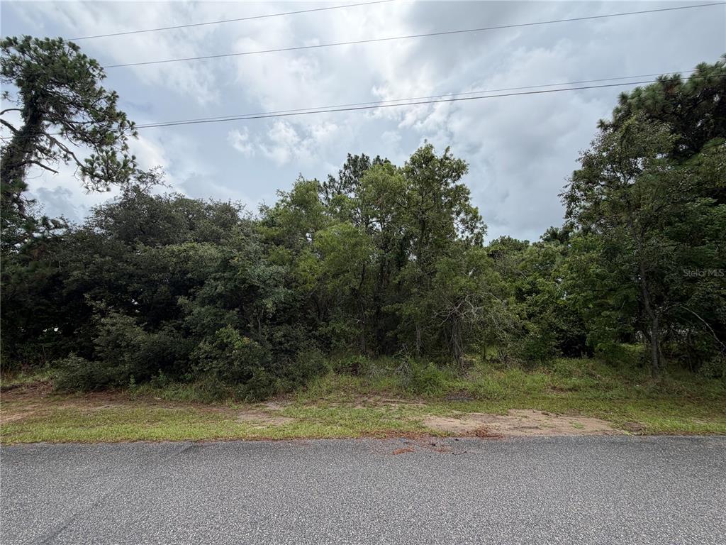 Corydon Ave Spring Hill Spring Hill, FL 34609 - Photo 2 of 9