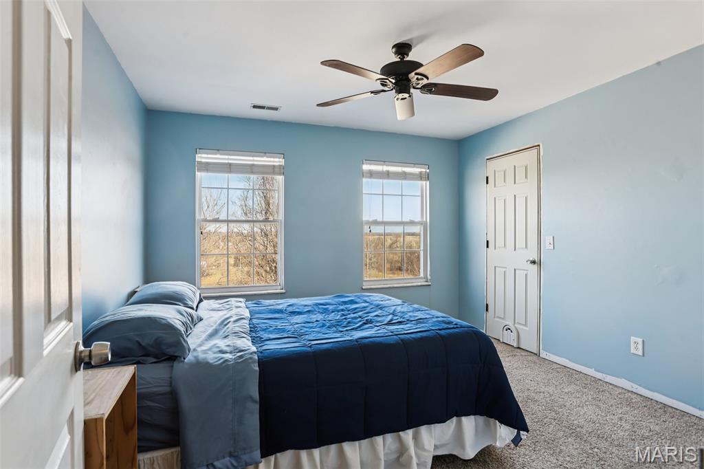 308 Buck Creek Road Silex, MO 63377 - Photo 25 of 49