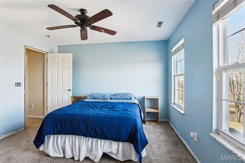 308 Buck Creek Road Silex, MO 63377 - Photo 26 of 49