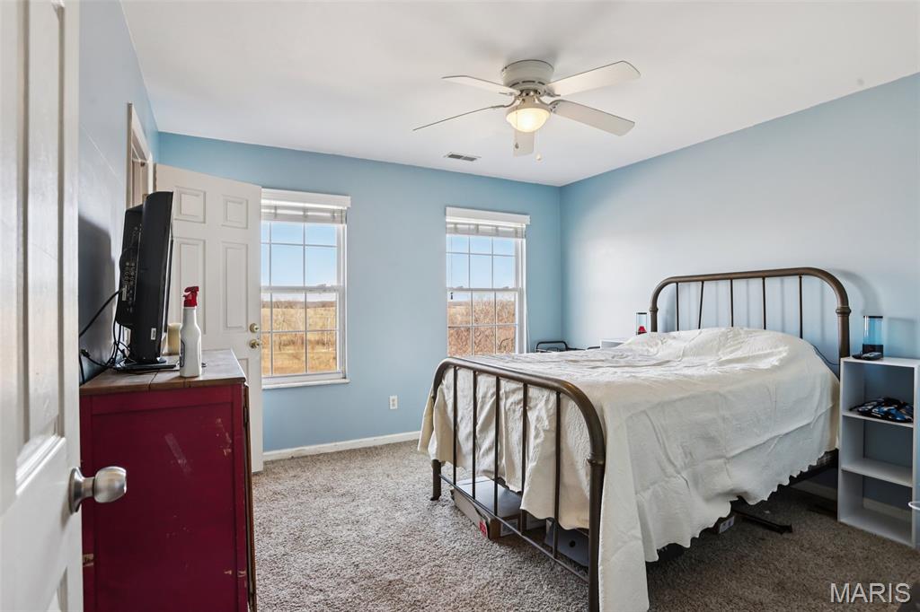 308 Buck Creek Road Silex, MO 63377 - Photo 30 of 49