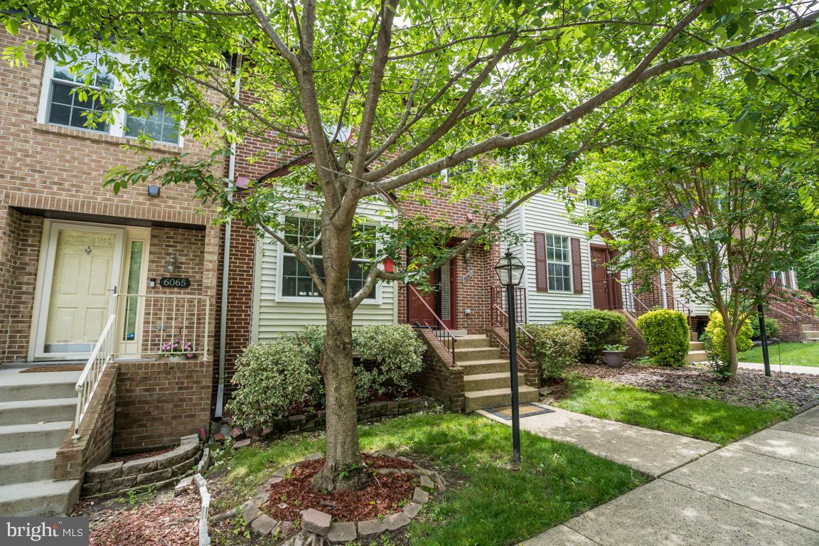 6067 Knights Ridge Way Alexandria, VA 22310 - Photo 4 of 39 a view of a house with a tree in front of it