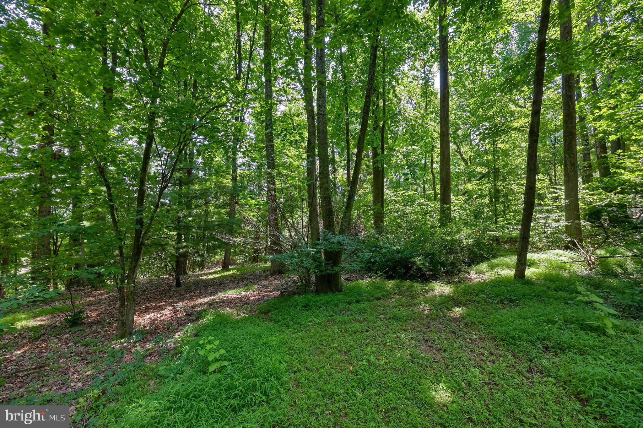 5680 Bull Road Dover, PA 17315 - Photo 59 of 67