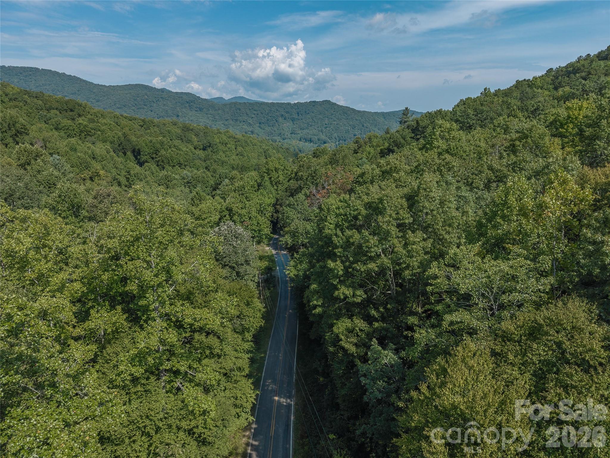 99999 Saw Branch Road Candler, NC 28715 - Photo 32 of 37 Gallery Image 32