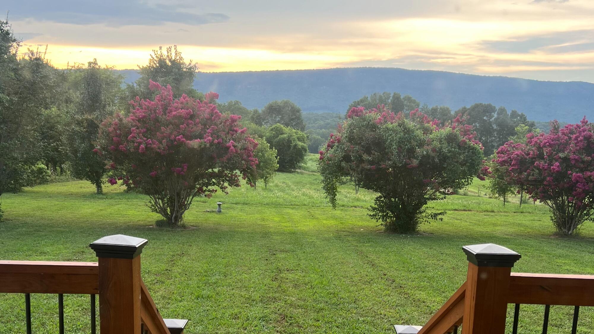 6671 Highway 337 LaFayette, GA 30728 - Photo 2 of 49 IMG_3684