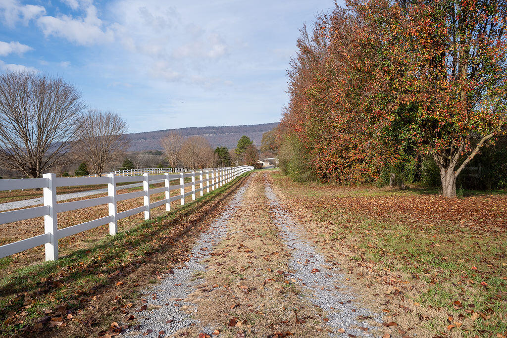 6671 Highway 337 LaFayette, GA 30728 - Photo 32 of 49 A7301249-HDR