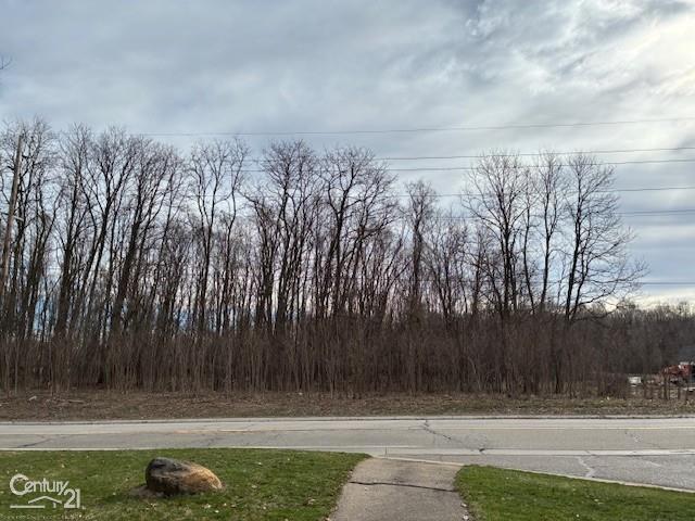 0 Marshall Road Ann Arbor, MI 48104 - Photo 4 of 17 Gallery Image 4