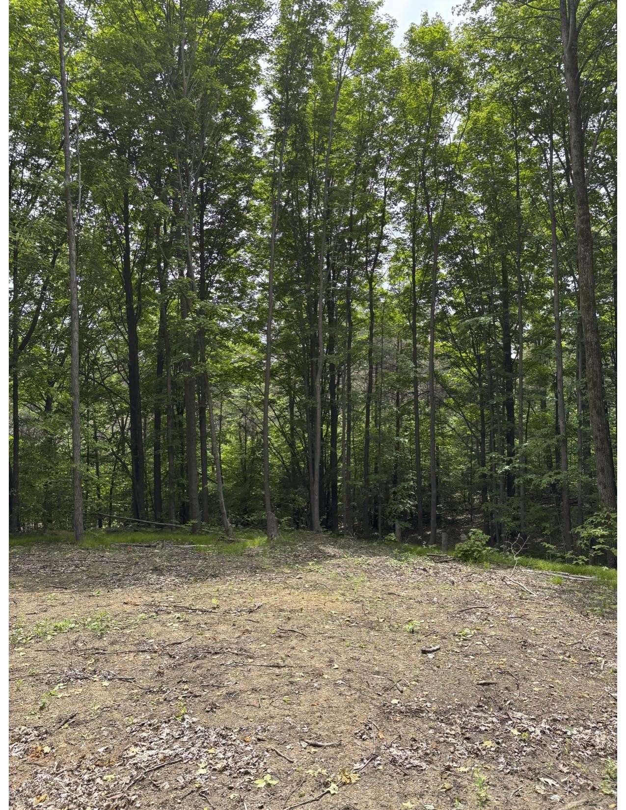 Parcel A North Parcel A N 45th Road Manton, MI 49663 - Photo 1 of 12