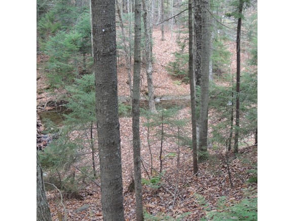40 North Access Road, Unit 1 West Dover, VT 05356 - Photo 22 of 25 Gallery Image 22