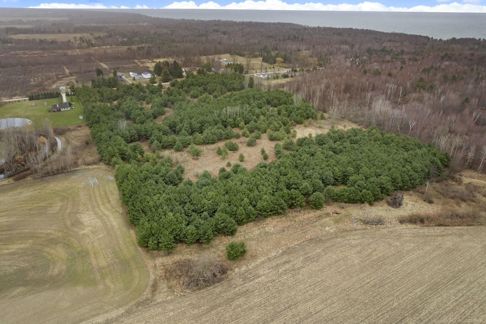 0 Aitken Road Peck, MI 48466 - Photo 9 of 11