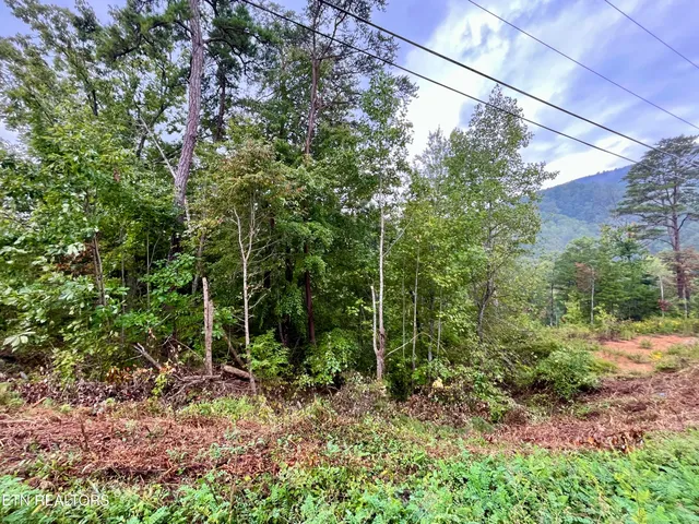 $110,000 | Lot 97 Bluff Ridge Road, Sevierville, TN 37876