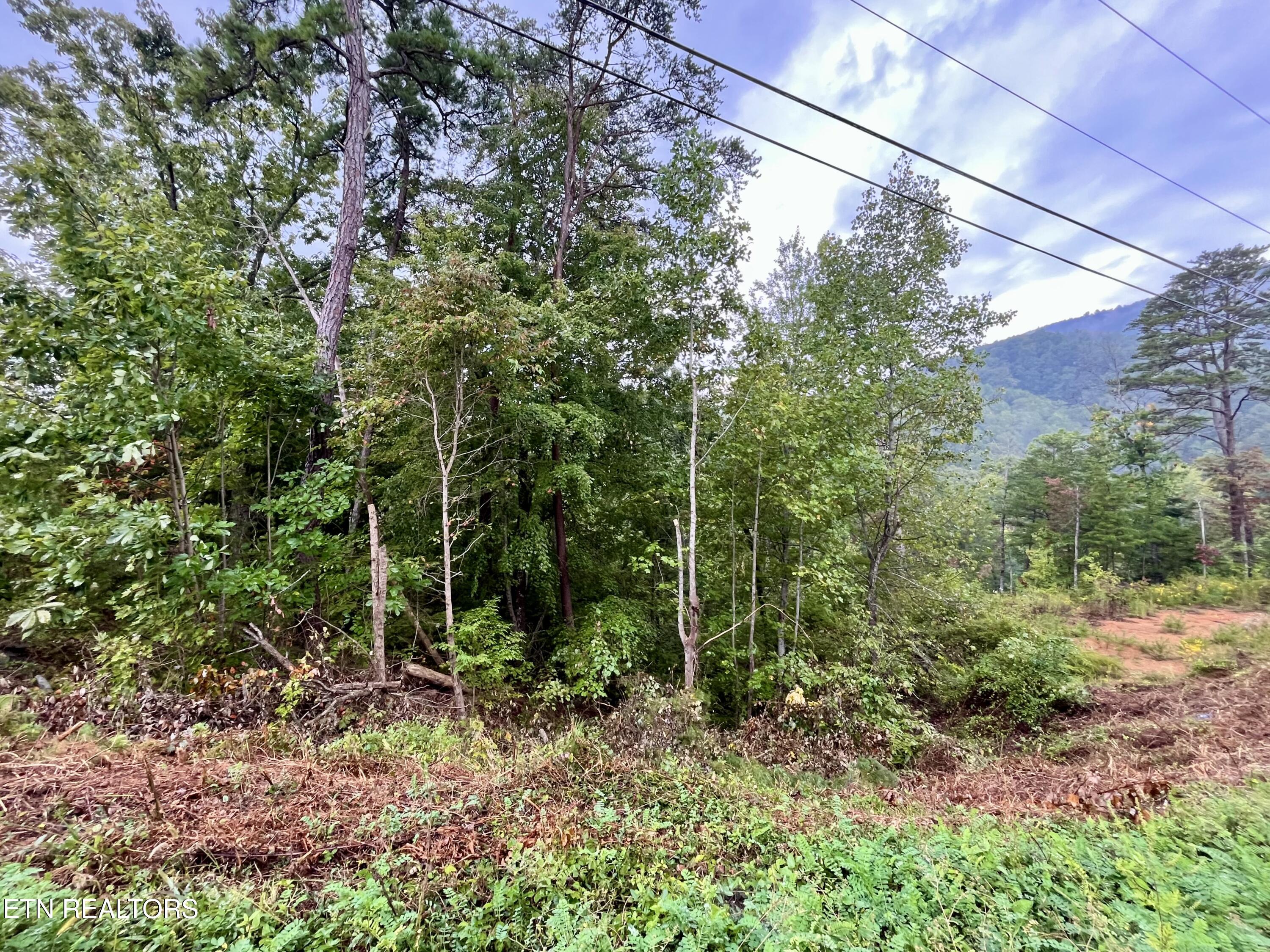 Bluff Ridge Lot 97
