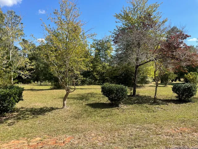 $94,995 | 51 Forest Road, Lumpkin, GA 31815