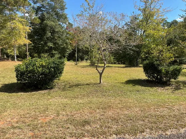 $94,995 | 51 Forest Road, Lumpkin, GA 31815