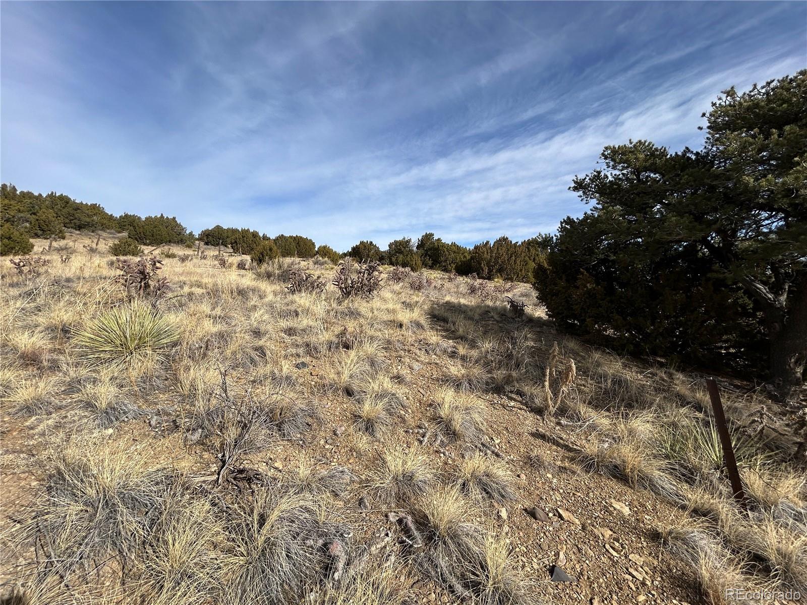 26 West 3rd Street Walsenburg, CO 81089 - Photo 26 of 27 a view of a yard