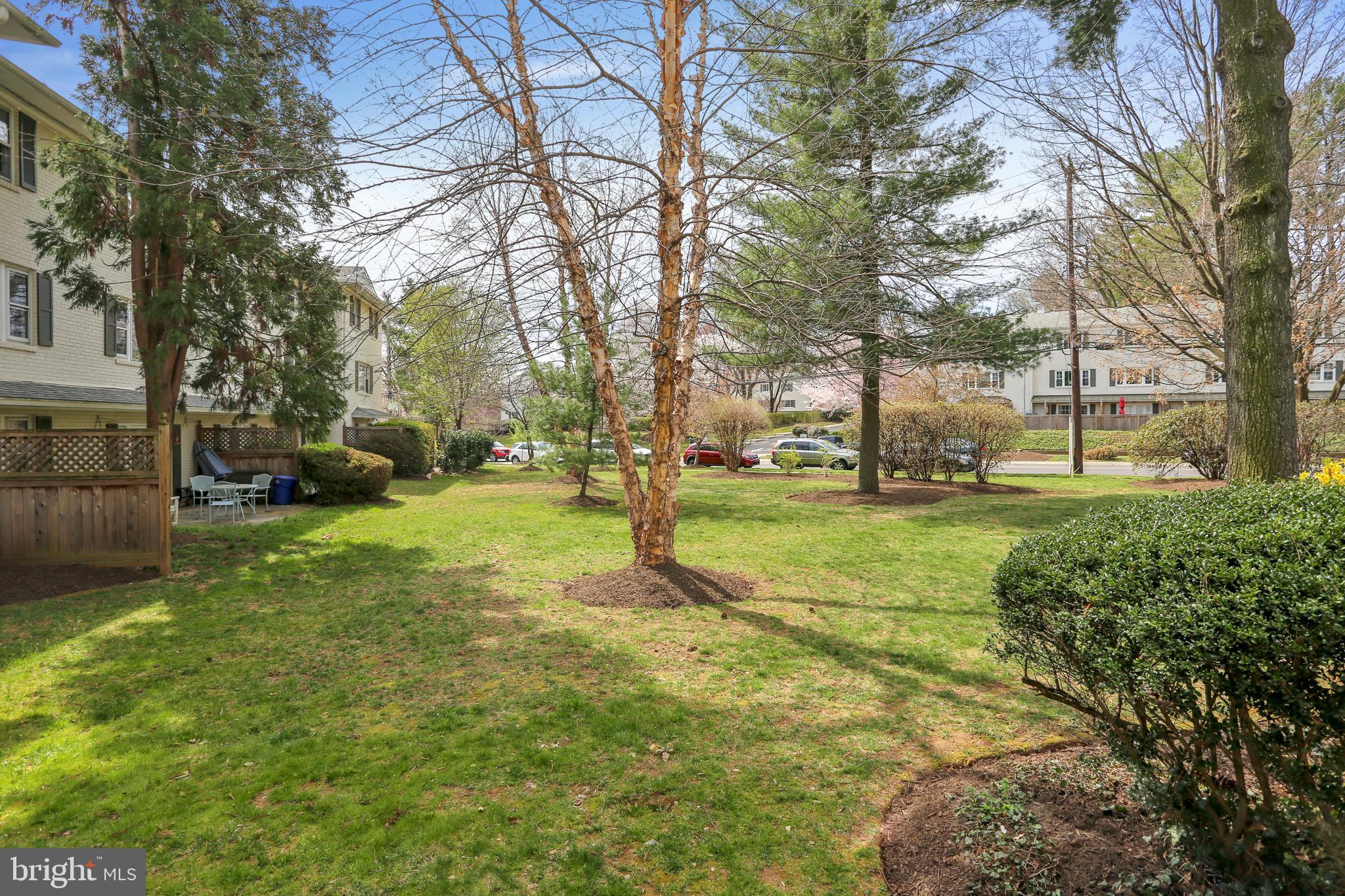 5339 Pooks Hill Road Bethesda, MD 20814 - Photo 24 of 27 Open Space from walk out lower level