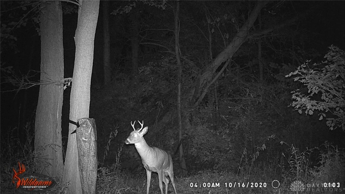 7587 West State Rte 29 De Graff, OH 43318 - Photo 46 of 48