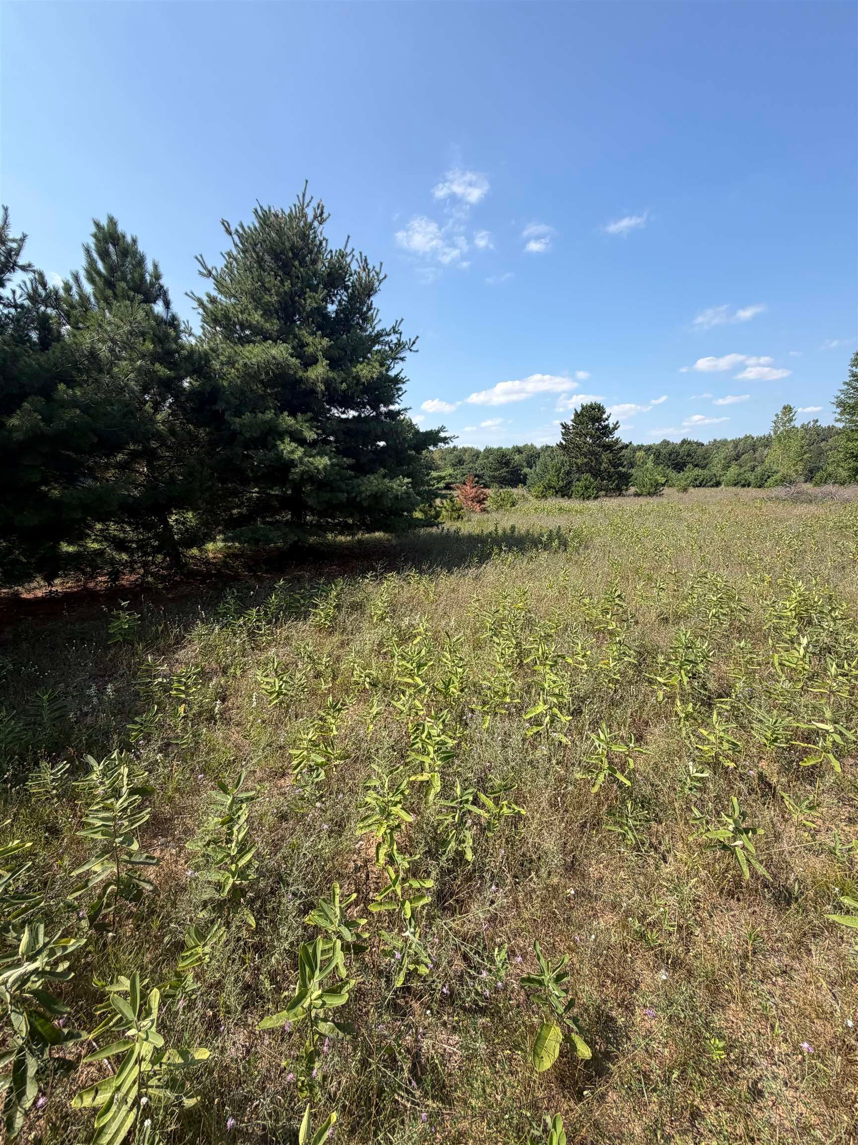 V/l Ambrose Road Mayville, MI 48744 - Photo 8 of 11 Gallery Image 8